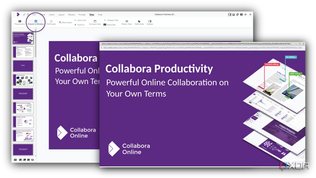 Ảnh chụp màn hình Collabora Online, nhấn mạnh khả năng kiểm soát quyền riêng tư dữ liệu toàn diện.