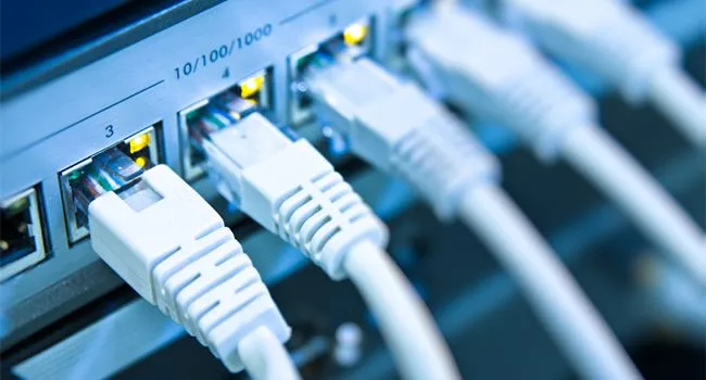 Dây mạng được kết nối vào switch