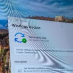 Giao diện cài đặt Windows Update trên hệ điều hành Windows 11