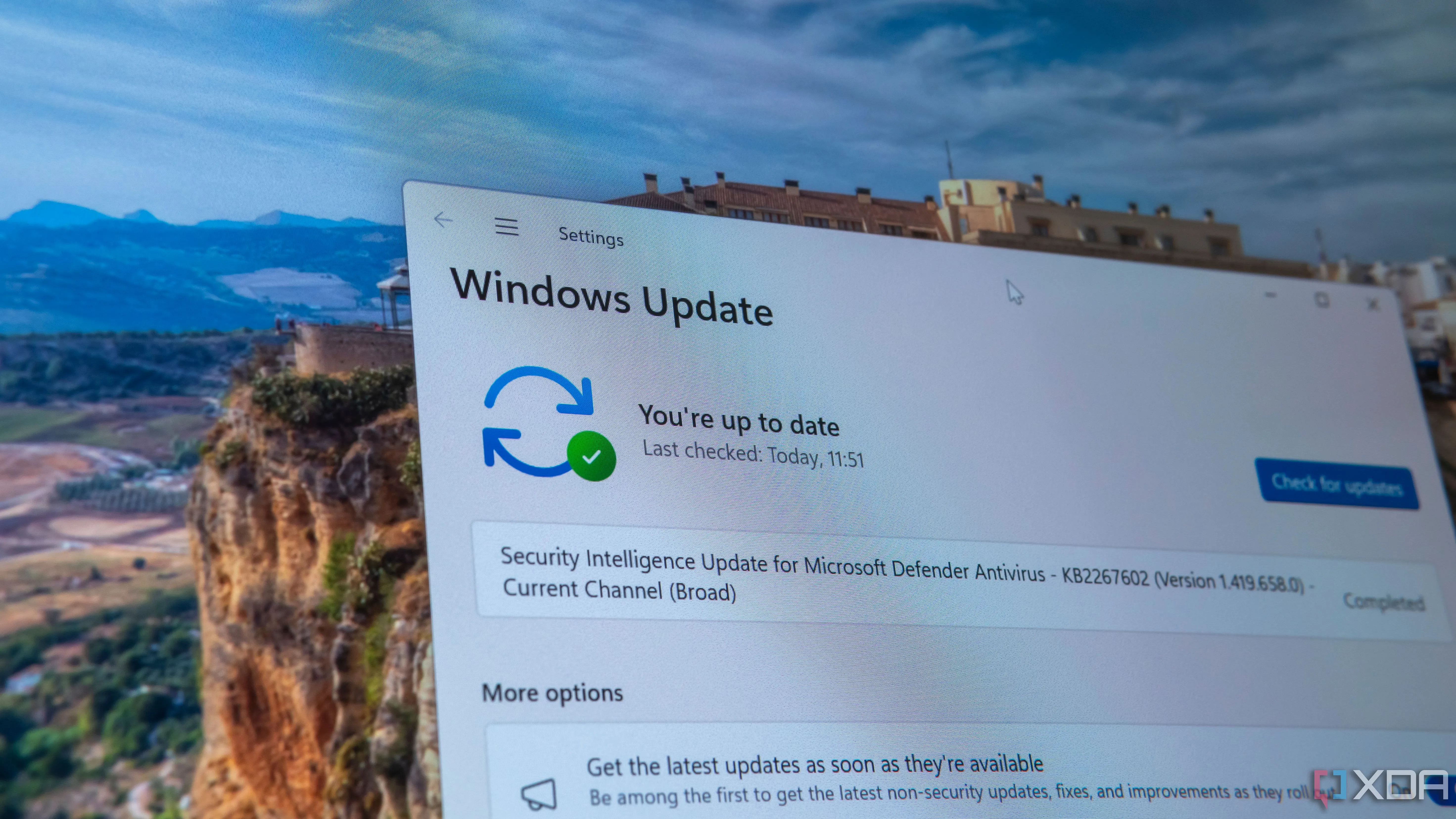 Giao diện cài đặt Windows Update trên hệ điều hành Windows 11