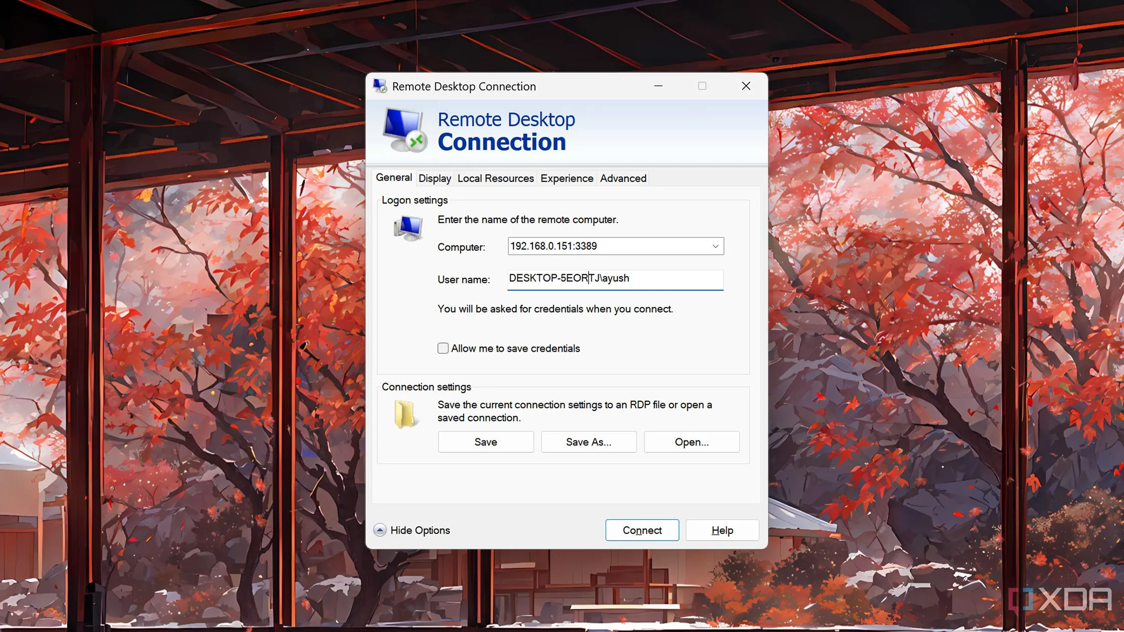Giao diện truy cập máy ảo Windows 11 qua RDP trên màn hình máy tính