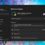 Màn hình Windows Update trong Cài đặt Windows 11 hiển thị tùy chọn cập nhật
