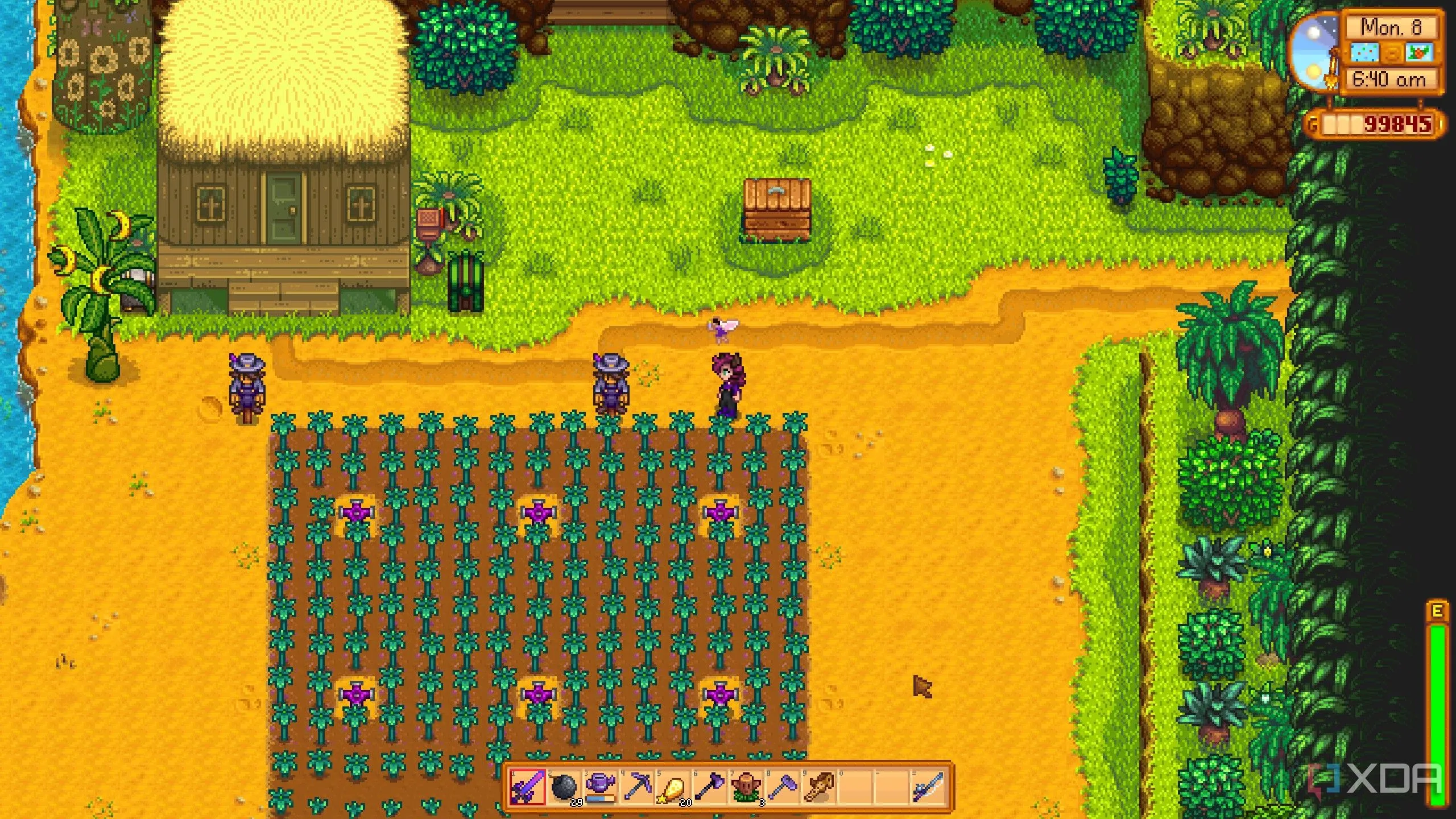 Nông trại Đảo Gừng rực rỡ trong Stardew Valley, minh chứng cho nội dung phong phú của game nông trại đáng chơi này.