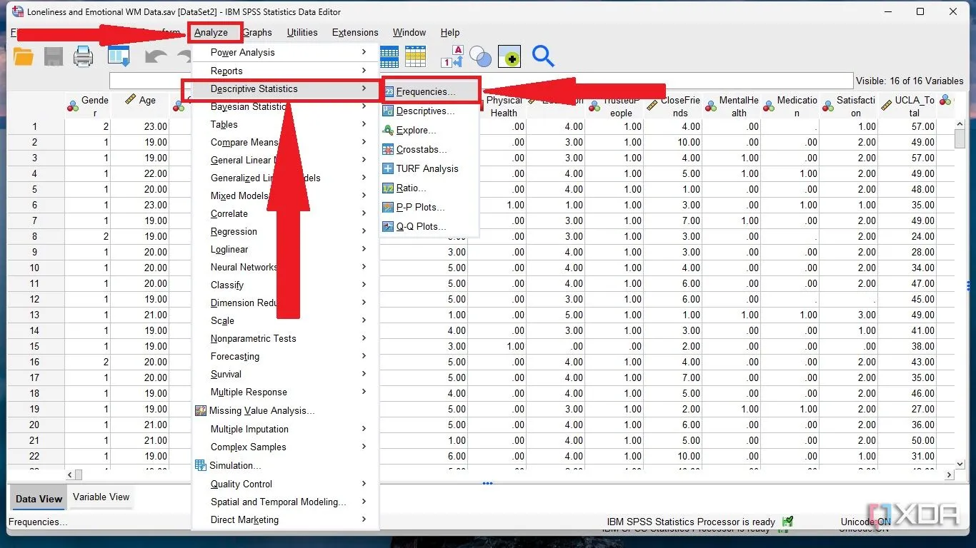 Truy cập Descriptive Statistics từ menu Analyze trong SPSS